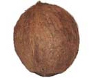 mojofruit
