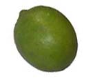 mojofruit