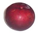 mojofruit